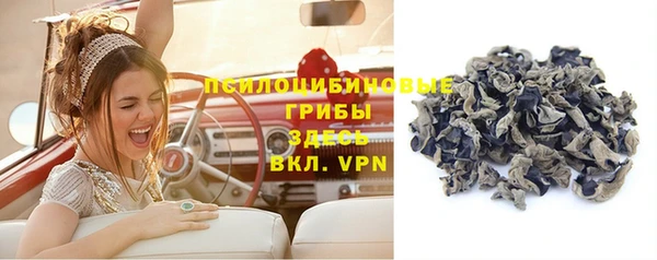 гашик Балабаново