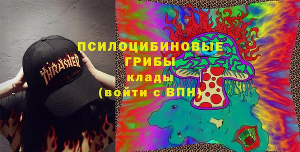 стаф Баксан
