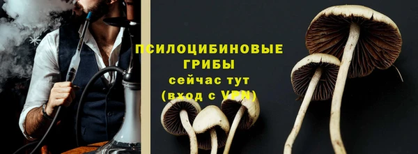 гашик Балабаново