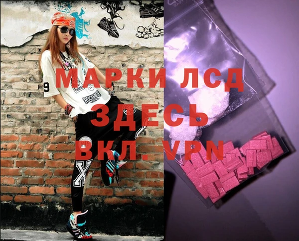 стаф Баксан