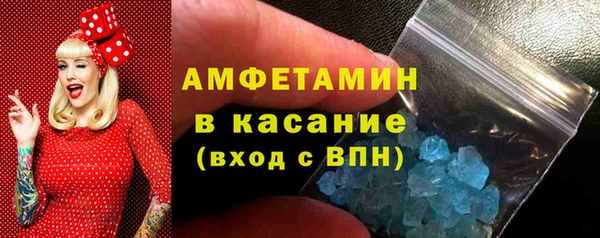 шишки Покачи