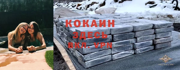 стаф Балахна