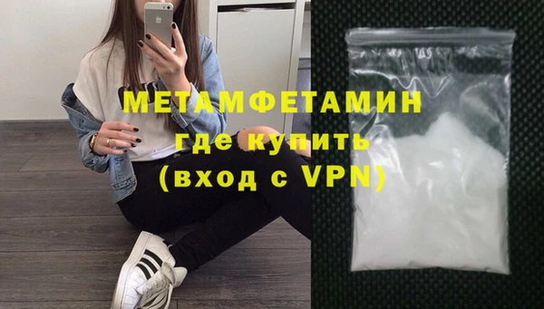 шишки Покачи