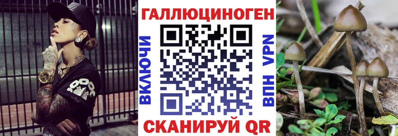 Галлюциногенные грибы мицелий  Спас-Деменск 